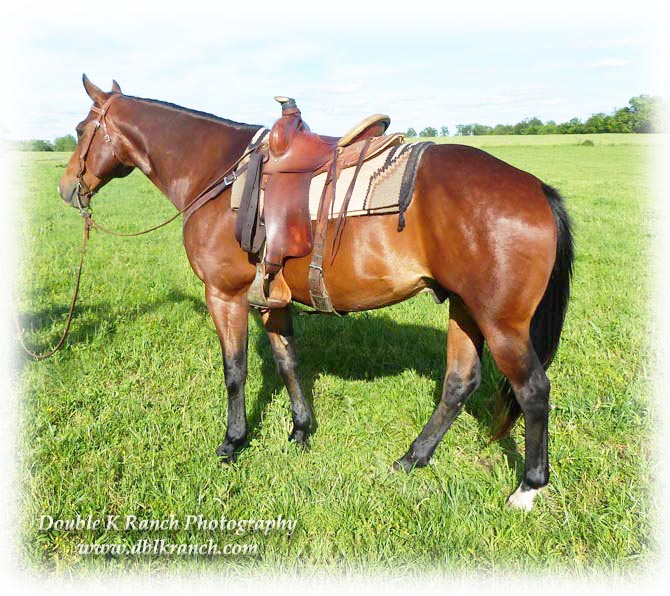 brazos crazy horse 2